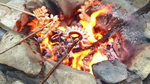 Bacon roasted on fire — Stock Video