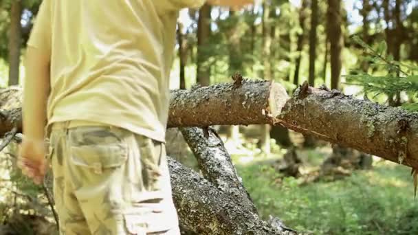 Holzfäller bei der Arbeit — Stockvideo