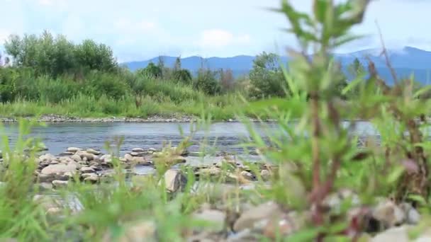 Schuifregelaar shot van een rivier — Stockvideo