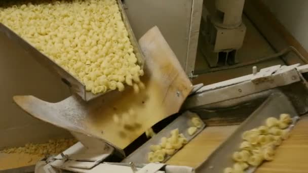 Fábrica automatizada de alimentos hacer pasta fresca — Vídeos de Stock