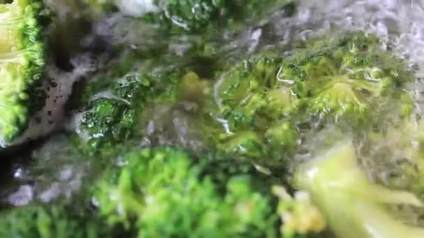 Broccoli in acqua bollente — Video Stock