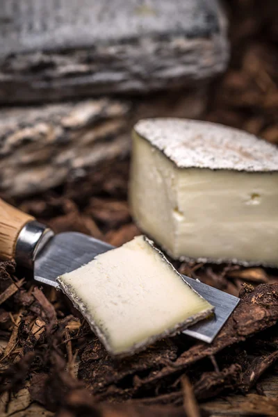 Smetanový sýr Brie — Stock fotografie