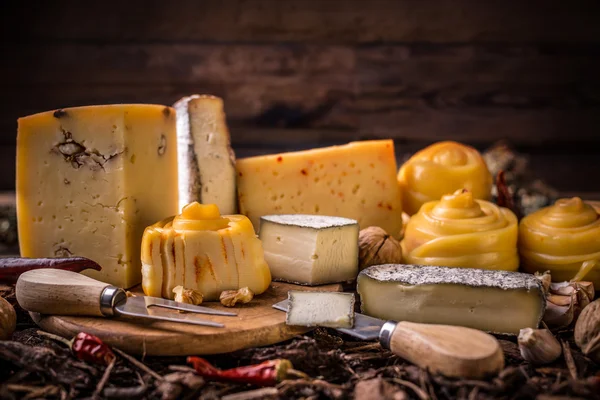 Αγρόκτημα, τυρί Φωτογραφία Αρχείου