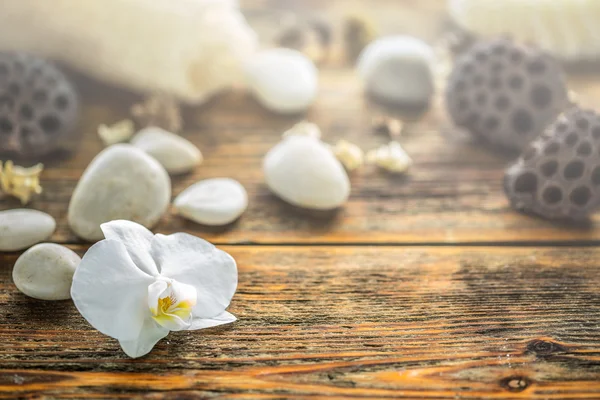 Piedras y orquídeas —  Fotos de Stock