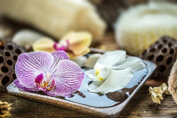 Orquídea flotante, concepto de spa —  Fotos de Stock