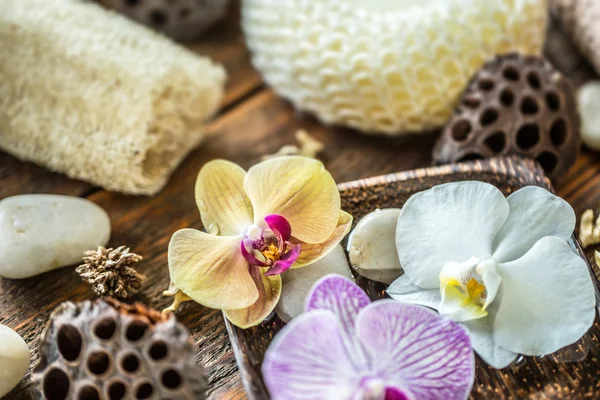 Flor de orquídea, concepto de spa —  Fotos de Stock