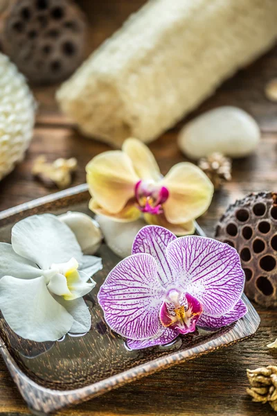 Flor de orquídea, concepto de spa Imagen De Stock