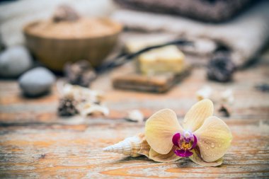 güzel orkide çiçek