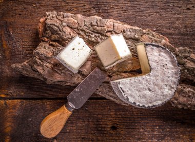 Fransız camembert peyniri