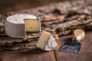 Camembert, yumuşak peynir 