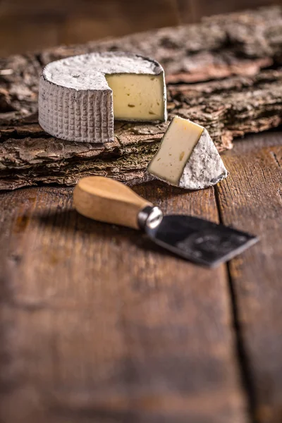 Krämig brie ost — Stockfoto