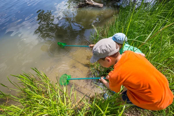 Çocuklar yuva ile Balık tutma — Stok fotoğraf