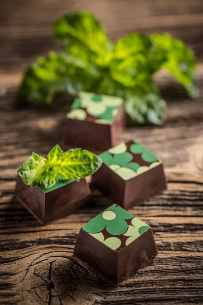 Čokoládové pralinky s mátou — Stock fotografie