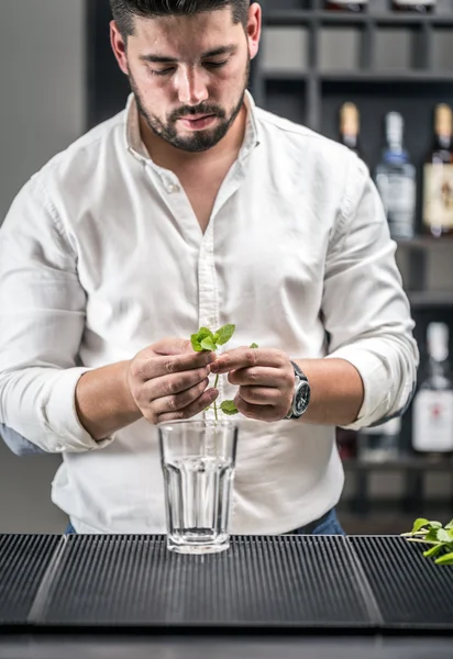 Bartender make mojito cocktail — Stock Photo, Image