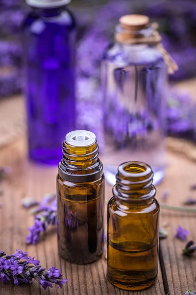 Lavender and essential oil — Stock Photo, Image