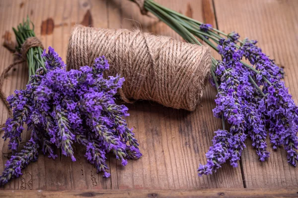 Lavender květiny parta — Stock fotografie