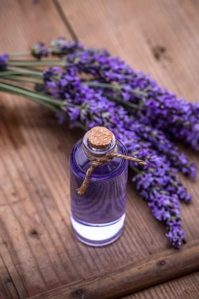 Lavender spa έννοια — Φωτογραφία Αρχείου
