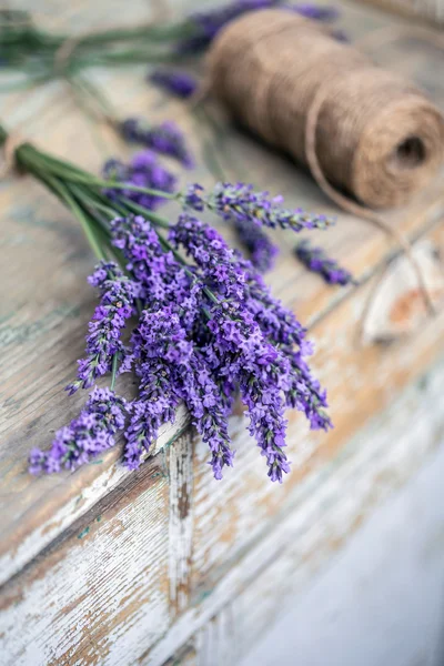 Bundle of lavender flowers — Stock Photo, Image