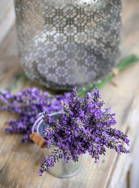 Bundle of lavender flowers — Stock Photo, Image