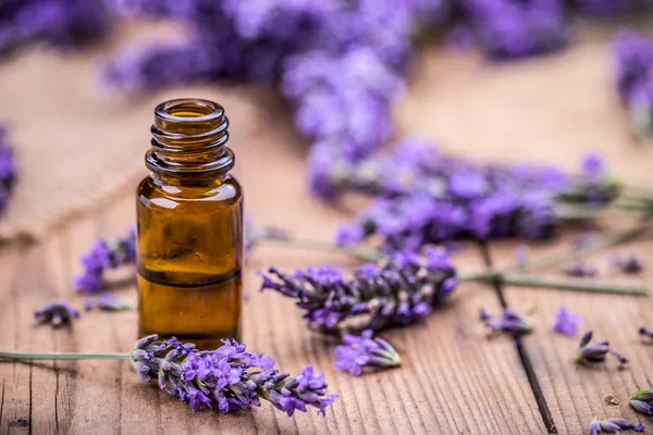 Herbal oil and lavender flowers