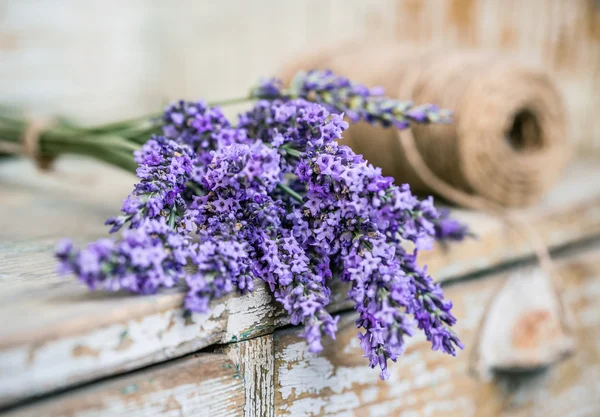 Lavender květiny parta — Stock fotografie