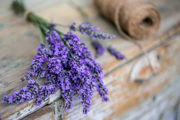 Mazzo di fiori di lavanda — Foto Stock