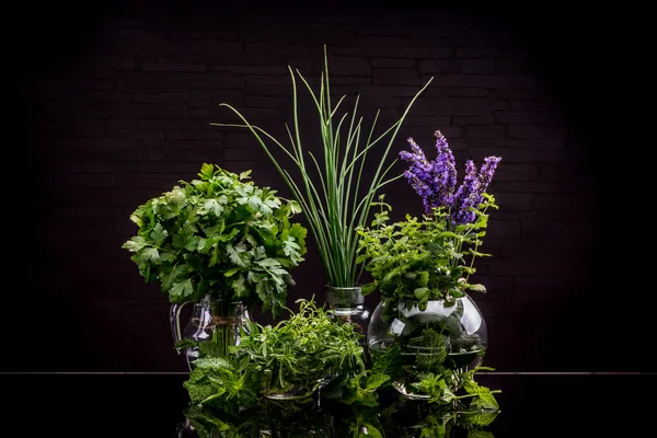 Garden fresh herbs — Stock Photo, Image