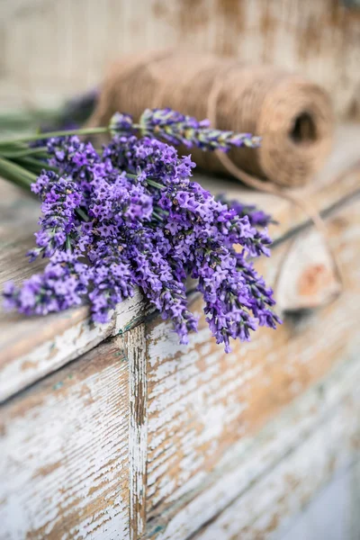 Čerstvé levandulové květy — Stock fotografie