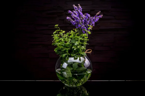 Fresh herbs from garden — Stock Photo, Image