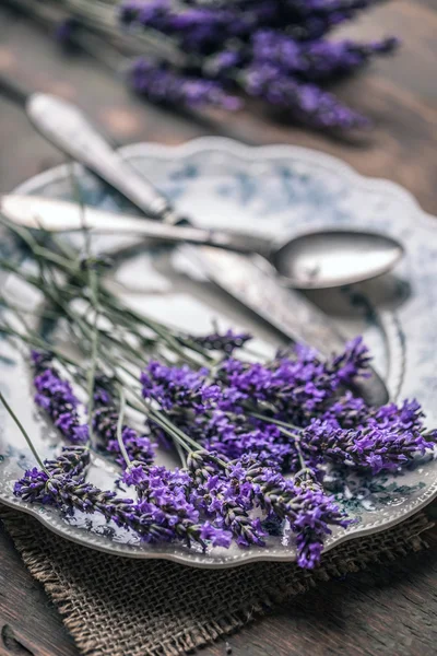 Fresh lavender flowers — Stock Photo, Image