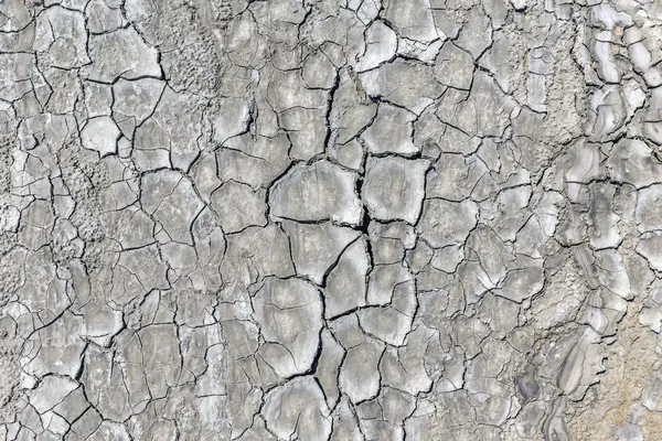 Tierra agrietada, sequía —  Fotos de Stock