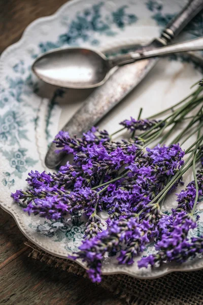 Fresh lavender flowers — Stock Photo, Image