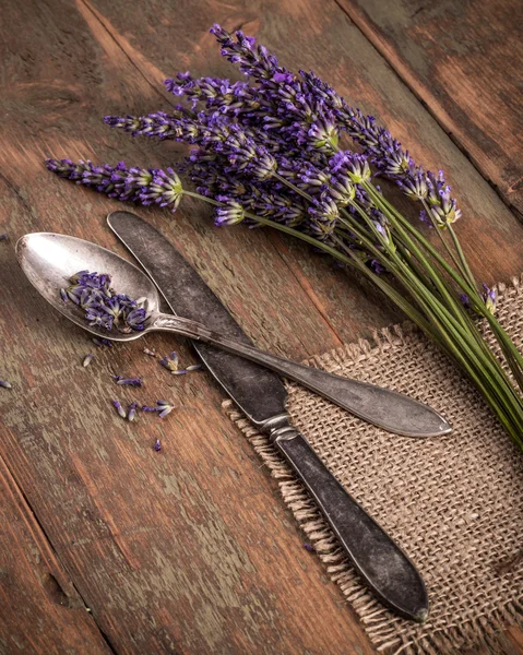 Flores frescas de lavanda — Fotografia de Stock