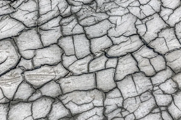 Sprickor i torkade jorden — Stockfoto