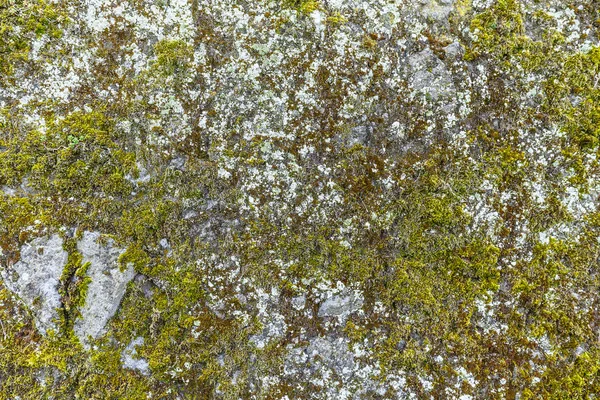 Старая серая каменная стена — стоковое фото