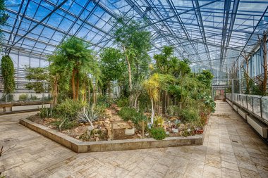 Palmiye ağaçlarında glasshouse