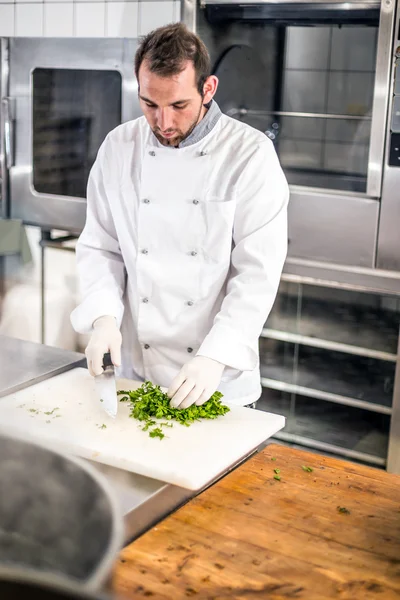 Male chef chopped parsley Stock Image