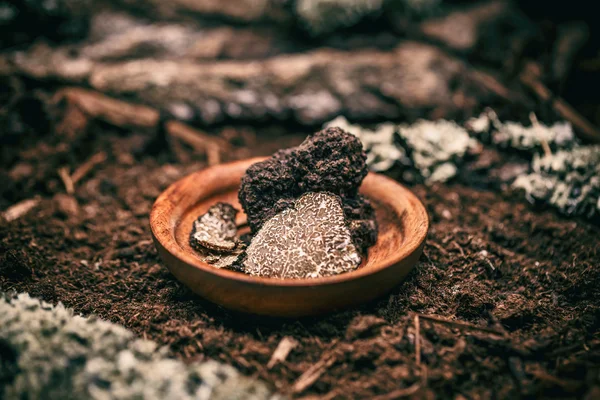 Zwarte truffels paddestoel — Stockfoto