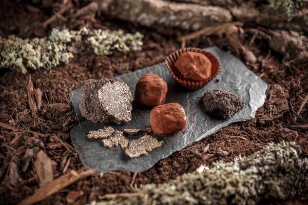 Deliciosos pralinos de chocolate — Fotografia de Stock