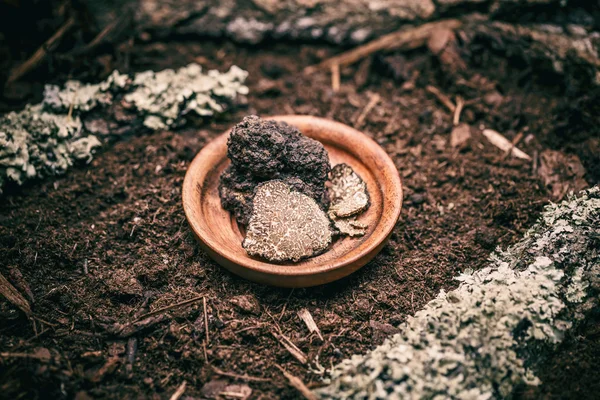 Zwarte truffels paddestoel — Stockfoto