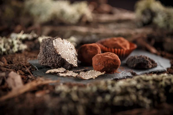 Шоколадные пралине — стоковое фото