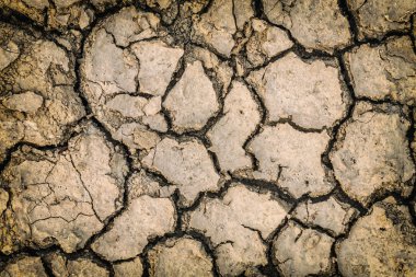 Kırsal kesimde rainless