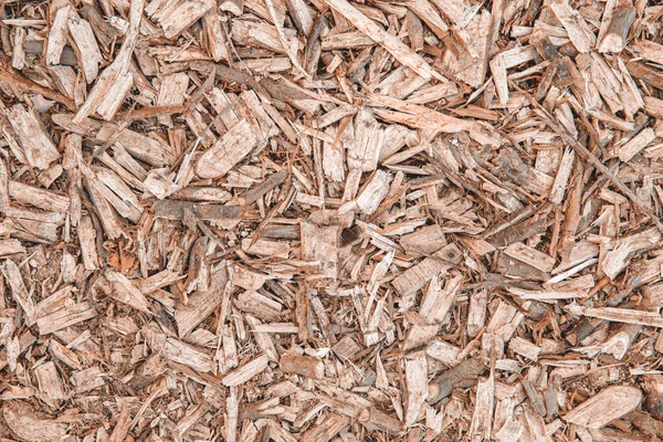 Background Wood Shavings Wood Chips Pieces Wood Formed Cutting Chipping — Fotografia de Stock