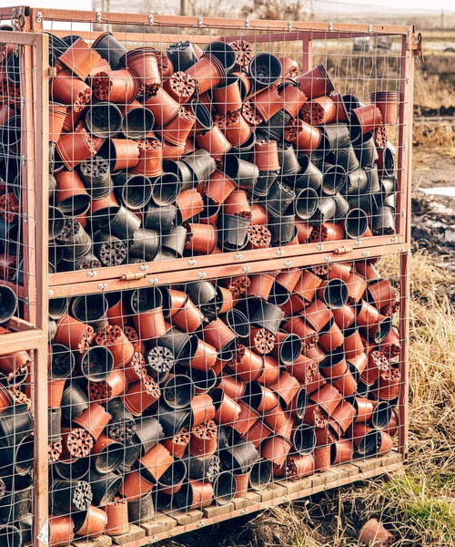 Pentole Plastica Piantine Stoccaggio Impianto Nella Scatola Sul Cantiere Magazzino — Foto Stock