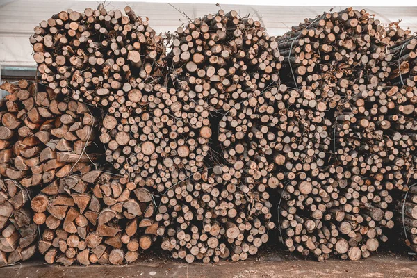Log Trunks Pile Logging Firewood Industry Concept Εικόνα Αρχείου