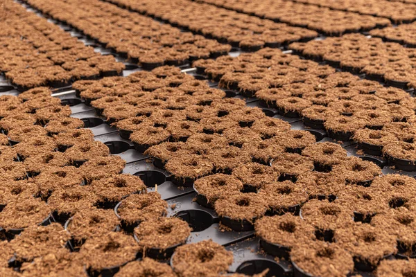 Flower pots filled with soil — Stock Photo, Image