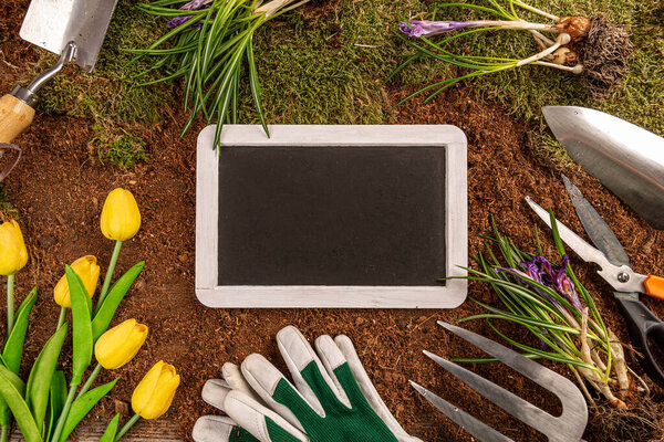 Blackboard on a gardening concept background