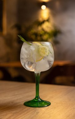 Biberiye ve limonla süslenmiş buzlu soğuk ferahlatıcı tonik su.