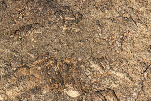 Oberfläche Des Gesteins Mit Brauner Tönung Steinhintergrund — Stockfoto