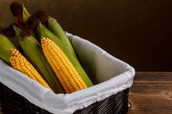 Mazorcas de maíz crudas — Foto de Stock